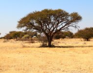 Namibie